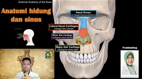 Bagian 1 Anatomi Hidung Dan Sinus Youtube