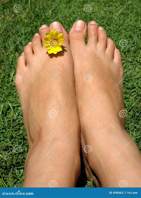 Feet Flower Stock Photo Image Of Delicate Carefree Female 498462