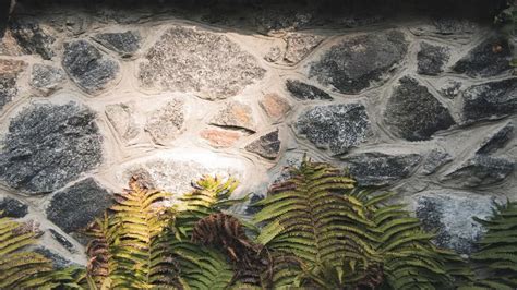 Stone Wall Texture Background Templates Ferns Textured Walls Grunge