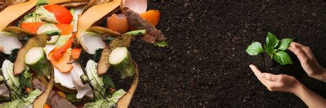 The Pros And Cons Of Composting As A Food Waste Solution Power Knot
