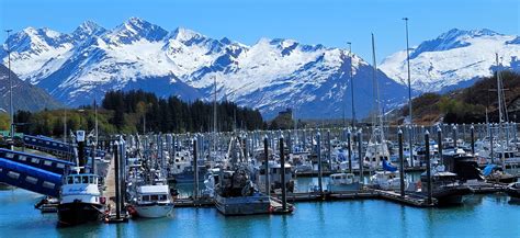 Valdez Boat Harbor 2022 Photo Contest Sponsored By Alaska Airlines