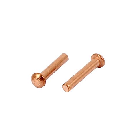 2mm X 8mm Round Head Copper Solid Rivets Fasteners Gold Tone 9mm Length 100 Pcs 602451756156 Ebay