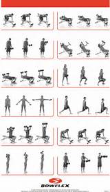 Workout Routine With Dumbbells Pictures