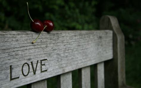 Lovers Bench Stock Photo Image Of Sensual Lovers Berry 6038192