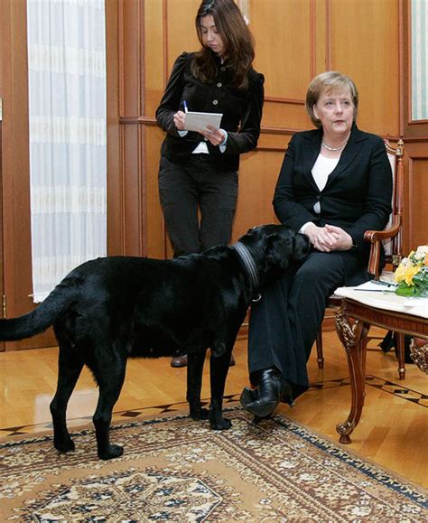 The best gifs are on giphy. Putin denies dog intimidation claims | UK | News | Express ...