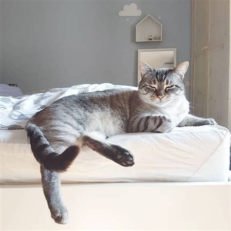 Il modo in cui decidi di scusi,signora, è libero il posto? Ieri tardo pomeriggio abbiam portato cane e gatto dal veterinario per i vaccini. Di solito si fa ...