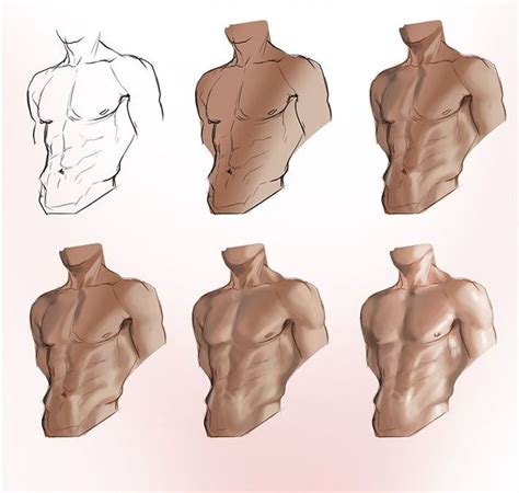 Anatoref Body And Torso Body Reference Drawing Body Shape Drawing