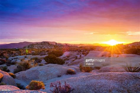 Sunrise At Joshua Tree National Park High Res Stock Photo Getty Images