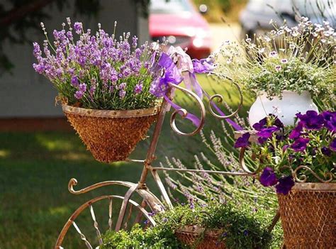 Depending on the region, they typically bloom in early to late summer. 7 Easy Steps to Growing Lavender in Pots | Hort Zone