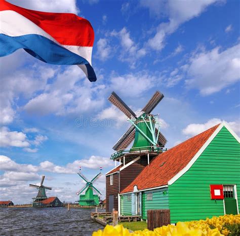 Mulini A Vento Olandesi Tradizionali Con I Tulipani In Zaanse Schans