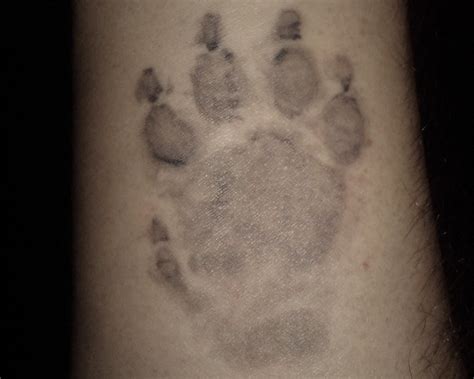 Our website is composed of compilation of various tattoo design for various categories such as amazing tattoos, girls/women tattoos, men tattoos, tattoo ideas, unique tattoo; Tattoo designing website design your own, lion paw print ...