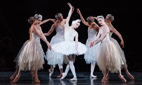 The Royal Ballets Swan Lake High Flyer Or Ugly Duckling Stage