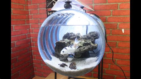 Membuat Hiasan Aquarium Dari Batu