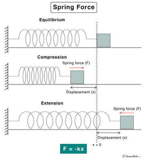 Spring Force Definition Formula And Examples