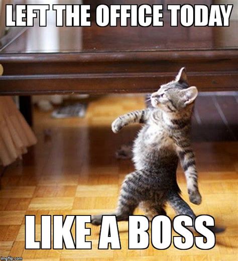 Cat Walking Like A Boss Memes Imgflip