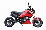 IceBear Fuerza 125 Motorcycle | Free Shipping