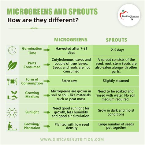 Microgreens The Nutritional Power Bombs