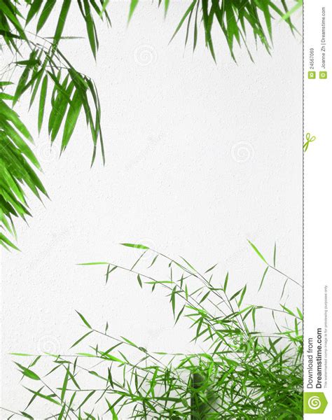 Green Frame Of Bamboo Leaves Stock Image Image Of Boarders Copyspace