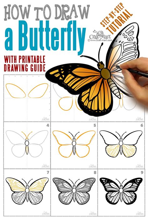 how to draw a butterfly step by step easy and fast craft mart