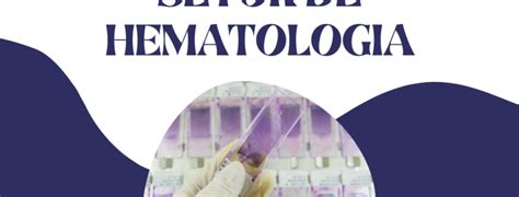 Como funciona o setor de hematologia Cursau Educação Blog