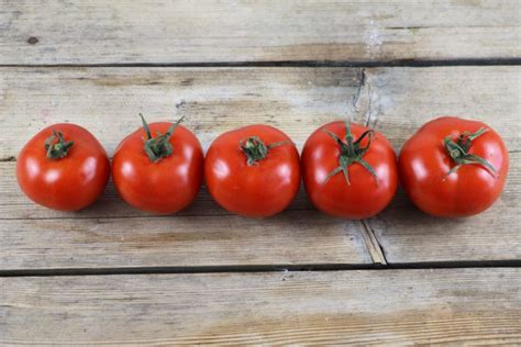 La Tomatina Das Tomatenfest In Spanien Spektakuläre Fakten Tomatende