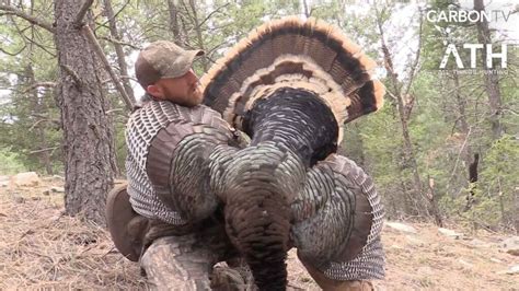 Where To Aim On A Turkey Carbontv