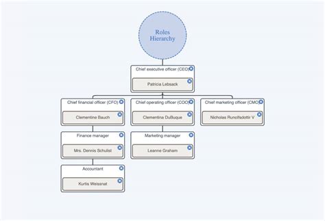 Corporate Organizational Chart Demo Applications And Examples