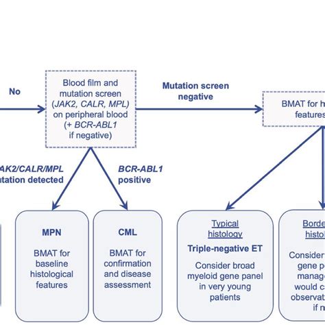 Diagnostic Pathway For Essential Thrombocythemia Bm Bone Marrow