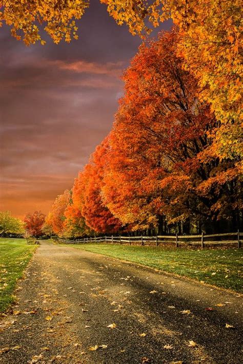 Pin By Marie Taylor On Fall Colors Autumn Scenery Scenery Beautiful