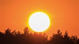 Hot days are coming - watch this video to see how extreme heat can ...