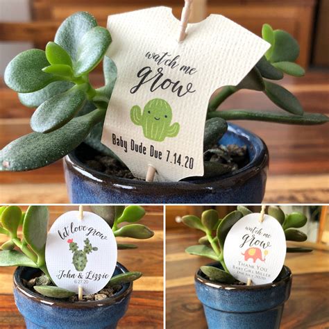 Set Of Let Love Grow Tags Watch Me Grow Tags Wedding Or