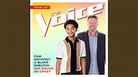 She Drives Me Crazy (The Voice Performance) - YouTube