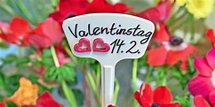 Valentinstag: Alle Infos zu Herkunft und Bedeutung