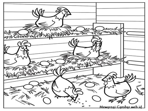 Neh wiwil ada sketsa gambar anak ayam yang baru menetas loh, lucu banget tau. Mewarnai Gambar Ayam | Mewarnai Gambar