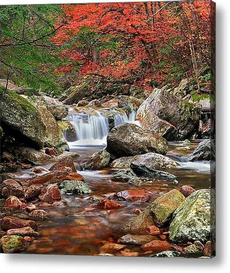 Roaring Brook Sunderland Vermont Autumn Scene Acrylic Print By Thomas