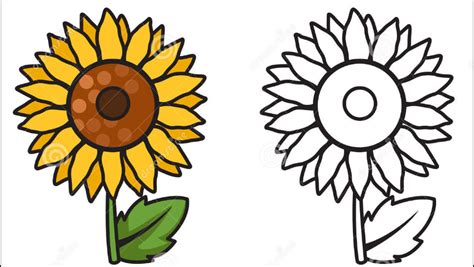 Sebagai orang tua mengenalkan bunga kepada anak di usia paud, tk. 46+ Gambar Bunga Matahari Anak Tk, Baru!