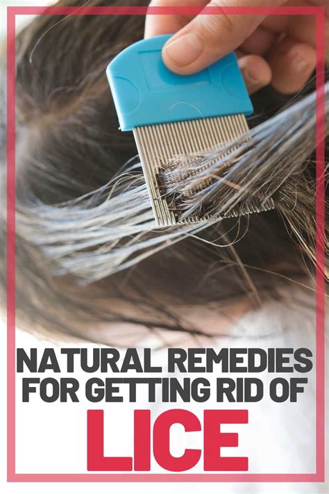 Get Rid Of Lice For Good 5 Lice Remedies That Work