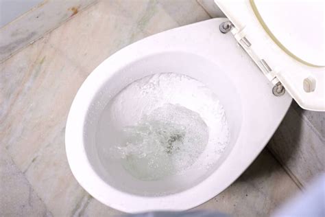 how to remove hard water stains from the toilet maid2match