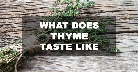 What Does Thyme Taste Like Thyme The Aromatic Plant We All Love