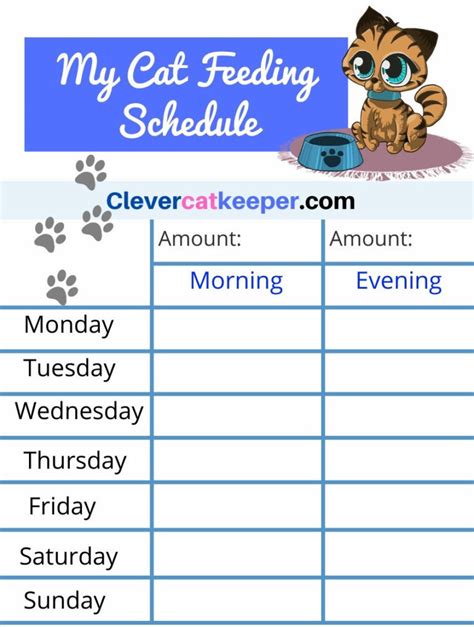How Often Should You Feed A Bengal Cat Printable Feeding Schedule