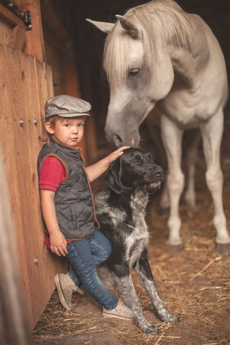 Pin On Horses