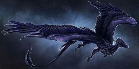 Black Feathered Dragon Feathered Dragon Dragon Pictures Dragon Art