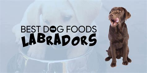 Fortunately, we are here to take. Top 6 Best Dog Foods For Labradors
