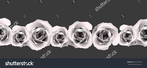 Vintage Horizontal Seamless Vignette White Rose Stock Vector Royalty