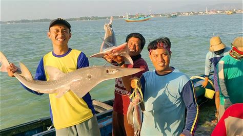 Vlog Nelayan Review Ikan Hasil Tangkapan Nelayan Tradisional Rembang