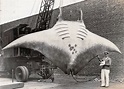 The "Great Manta” that was captured by Captain A.L. Kahn on August 26 ...
