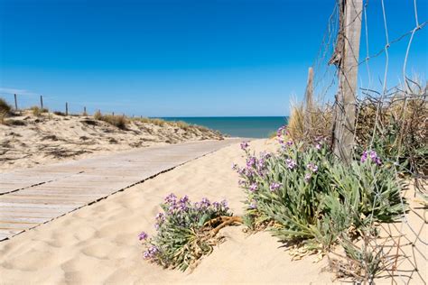 France 4 Naturisme Des Plages Naturistes D Exception En Gironde Qualité Office De Tourisme