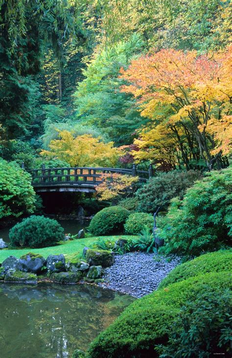 Strolling Garden At Portland Japanese Garden Oregon Photo Dm Cobb
