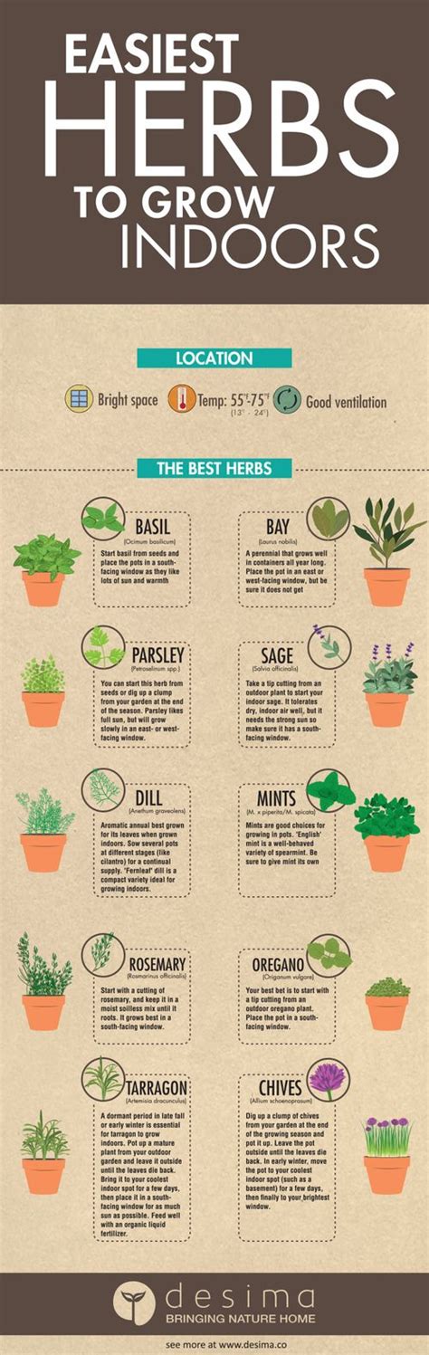 Easiest Herbs To Grow Indoors Infographic Homesteader