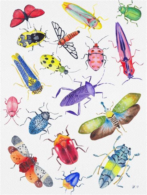 Colorful Bugs And Beetles Collection Art Print By Stacphanie Kilgast